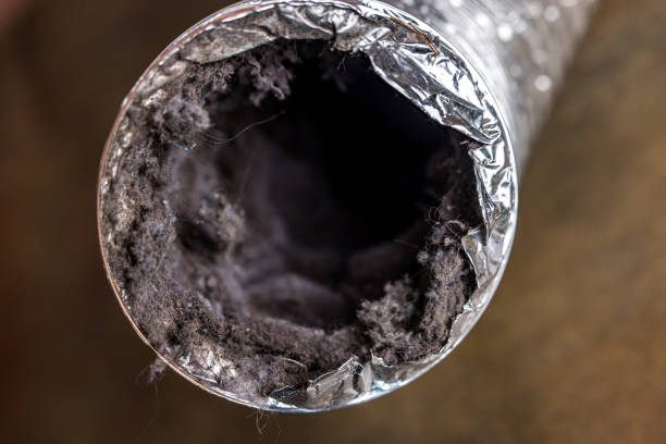 Best Air Vent Cleaning Services  in Lynchburg, VA