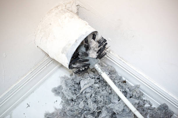 Air Duct Mold Removal in VA